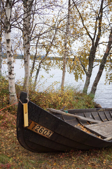 Fish Knife with Wooden Sheath